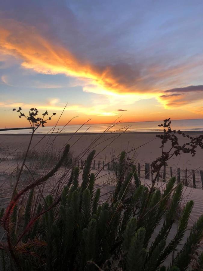 Residence Le Sunset Marseillan-Plage, Entre Mer Et Lagune De Thau, Etape Velo, Famille, Couple, Vrp, Toutou Admis, Jardin, Parking Prive Gratuit, Velos, Clim, Wifi Fibre Gratuite, Commodites, Plage Et Piste Cyclable A Proximite, 6 Couchages Nous Cont エクステリア 写真
